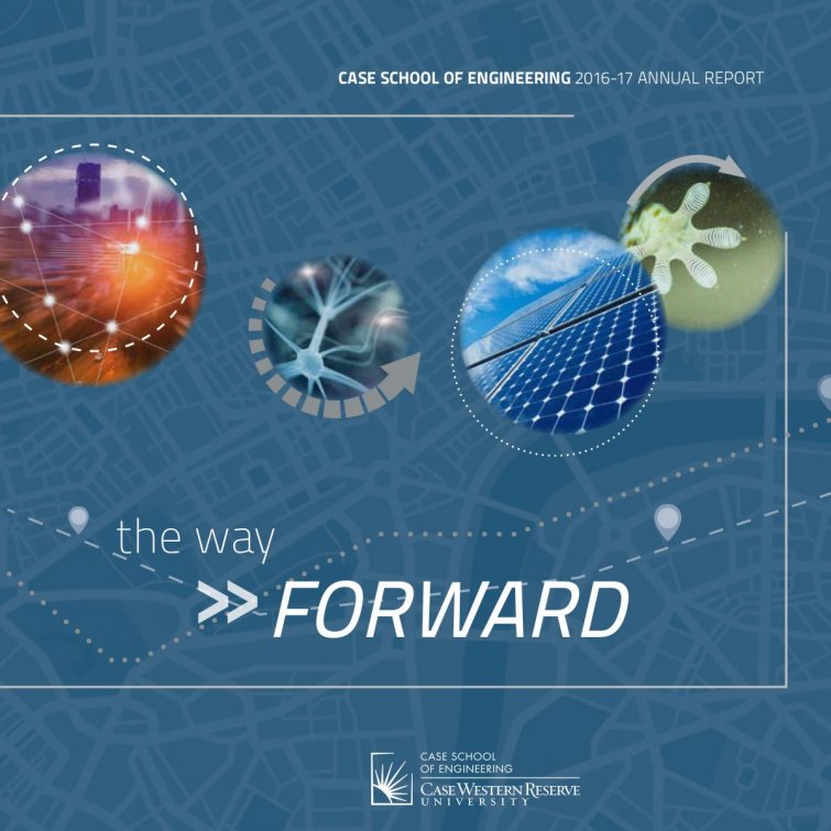 cover of the 2016-17 annual report