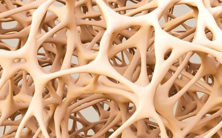 image of 3D bone structure