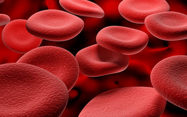 Red blood cells