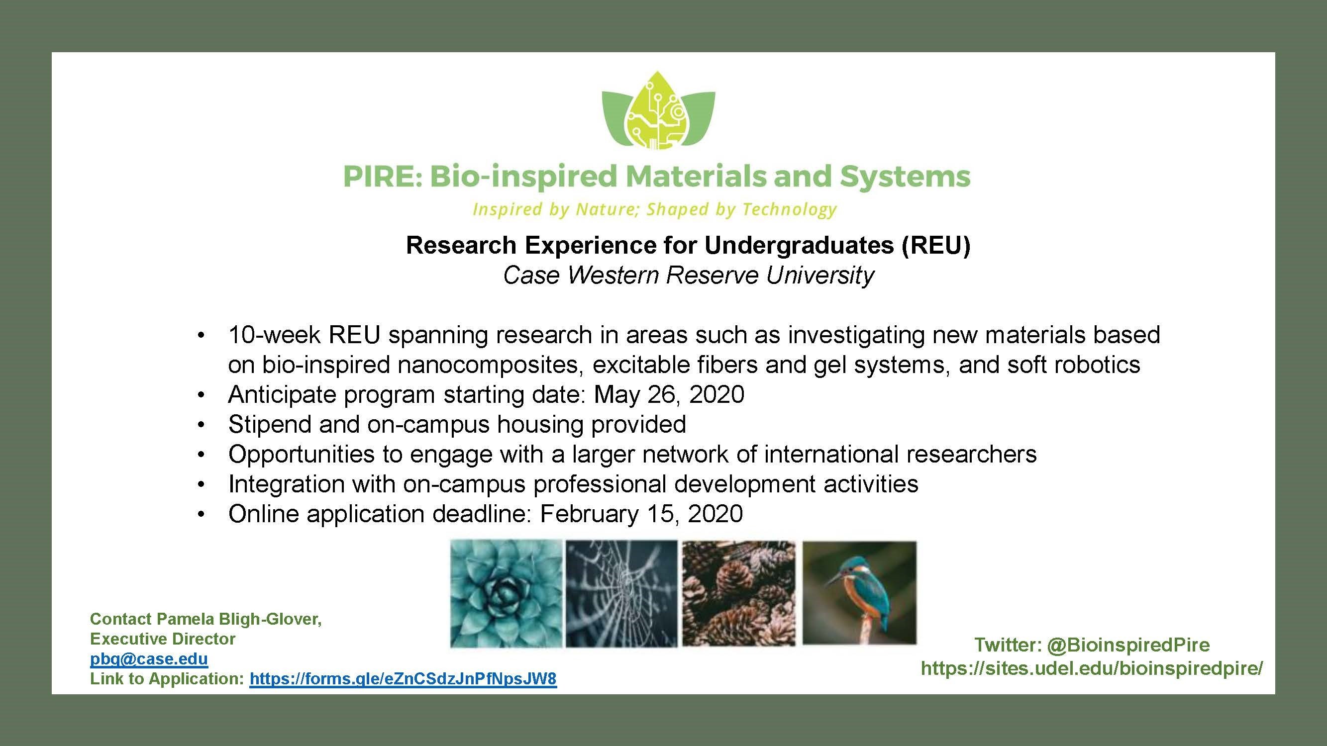 Undergraduate Summer Research Experience – NSF PIRE Bio-inspired ...