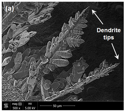 Image of a screen in black and white showing Zn dendrites formed during electrodeposition
