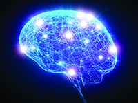 Brainwaves