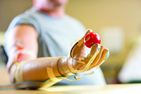 Prosthetic Hand Holding Tomato