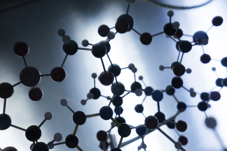 polymers structure