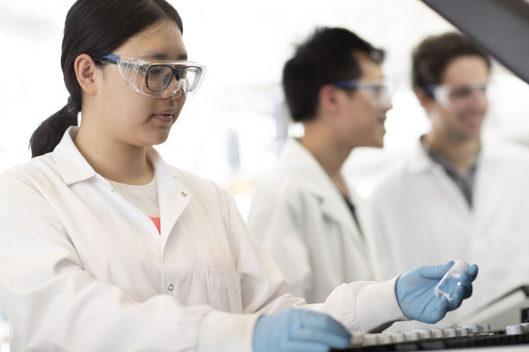 Students performing research
